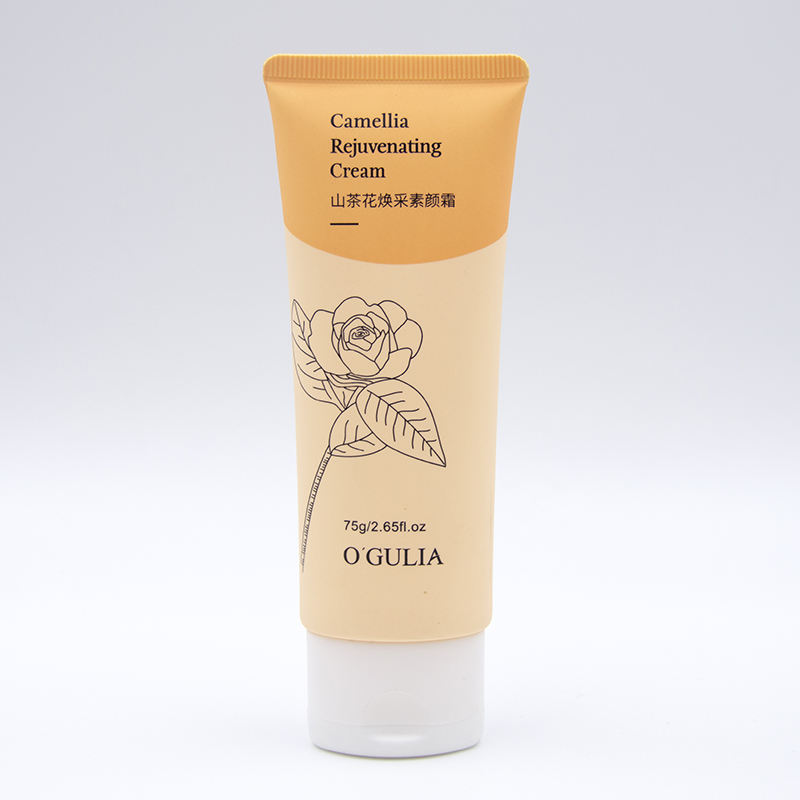 Tube en plastique PE pour soins de la peau, emballage cosmétique, grand Volume, capuchon rabattable, shampoing, Lotion pour le corps, revitalisant, Tube en plastique personnalisé
